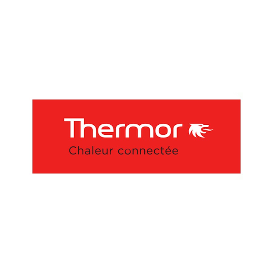 Thermor 450251  Interface Cozytouch
