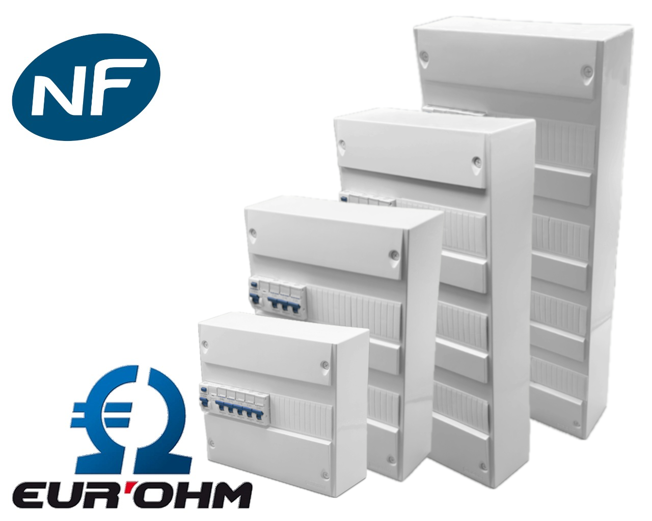 Tableau électrique précâblé automatique Eur'Ohm RX Protect