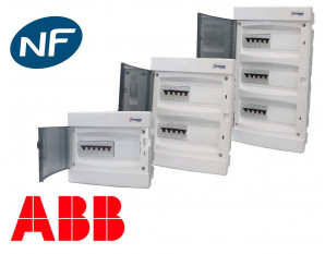 Tableau électrique étanche nu ABB 2 rangées 24 modules