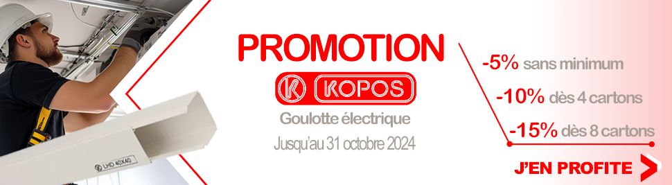 Découvrez notre promotion exclusives sur les goulottes electriques, plinthes, moulures et tube IRL sur Bis-electric, spécialiste du materiel electrique en ligne